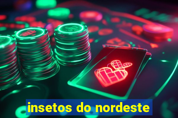 insetos do nordeste